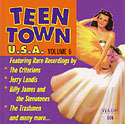 Teen Town U.S.A. Volume 6