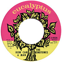 How Can A Man - Eucalyptus