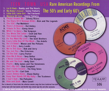 Teen Town U.S.A. Volume 6 Back